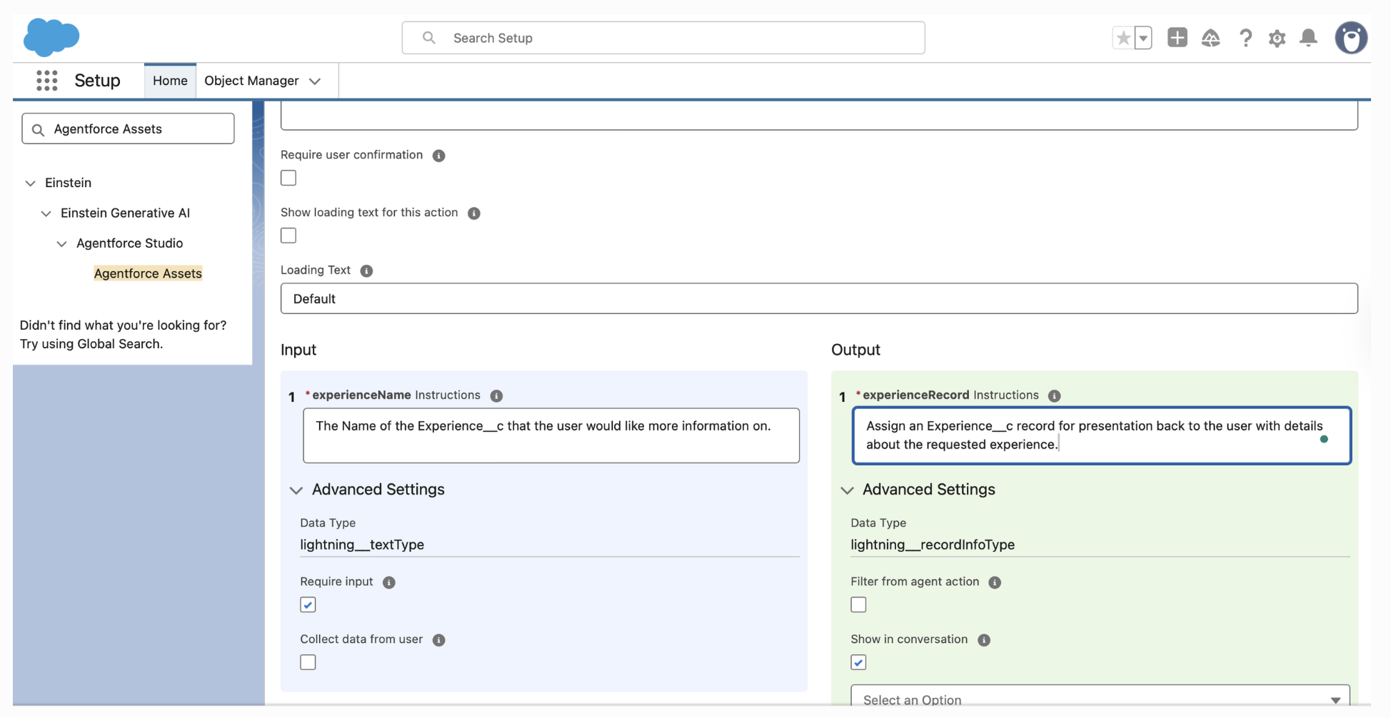 Agent Action input and output instructions mapping the experience record back to the user